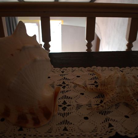 Apartman Marko Tribalj Εξωτερικό φωτογραφία